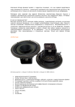 Omega Super 6 Alnico Monitor