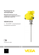 VEGA VEGAFLEX 83 4 … 20 mA_HART - four-wire Polished version