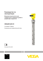 VEGA VEGAFLEX 81 Foundation Fieldbus Coax probe