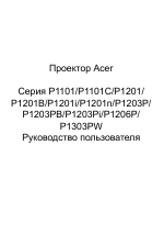 Acer P1206P