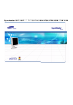 Samsung 171N