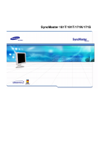 Samsung 171N