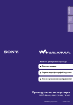 Sony NWZ-A845
