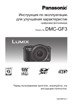 Panasonic DMC-GF3