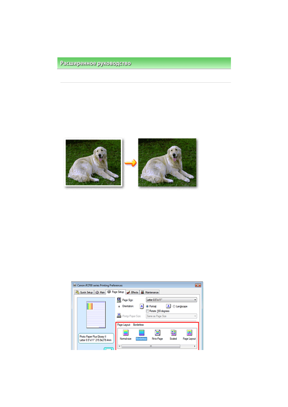 background image