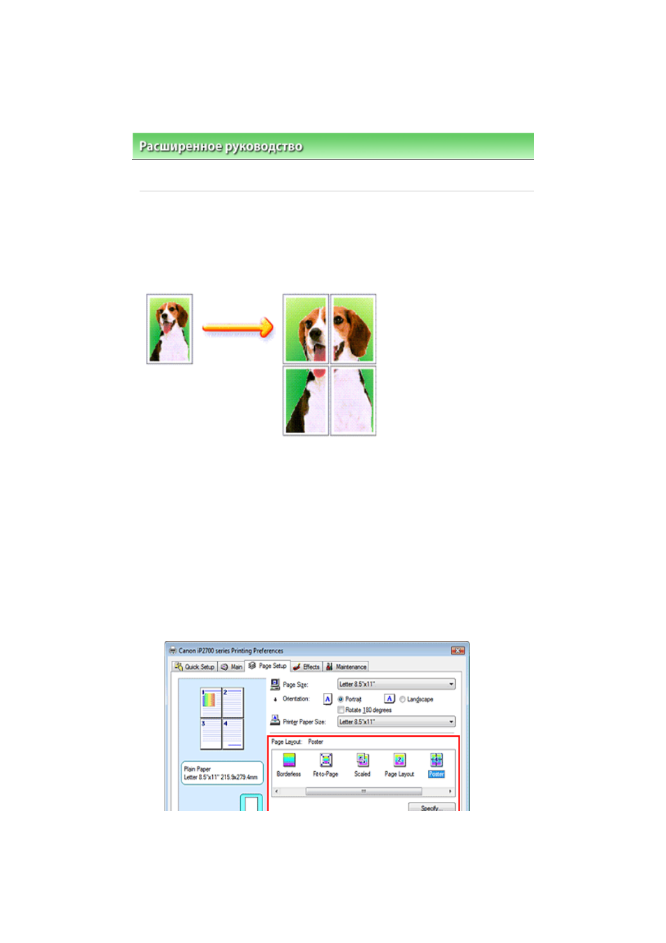 background image