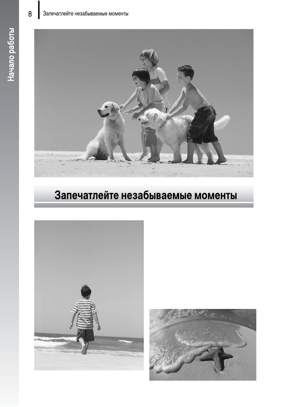 Запечатлел или запечатлил на картине
