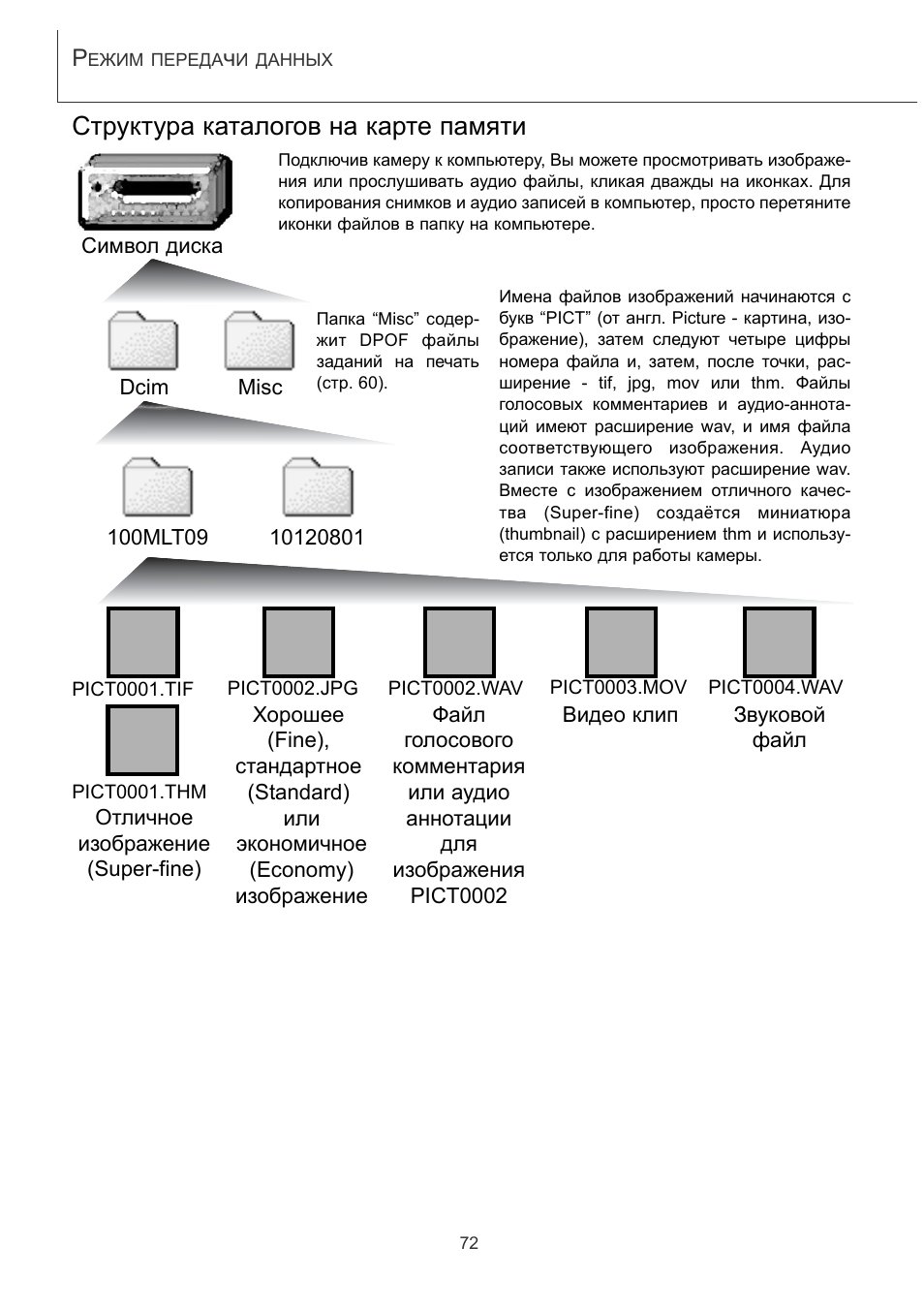 Структура каталогов. Структура каталогов Windows. THM Формат
