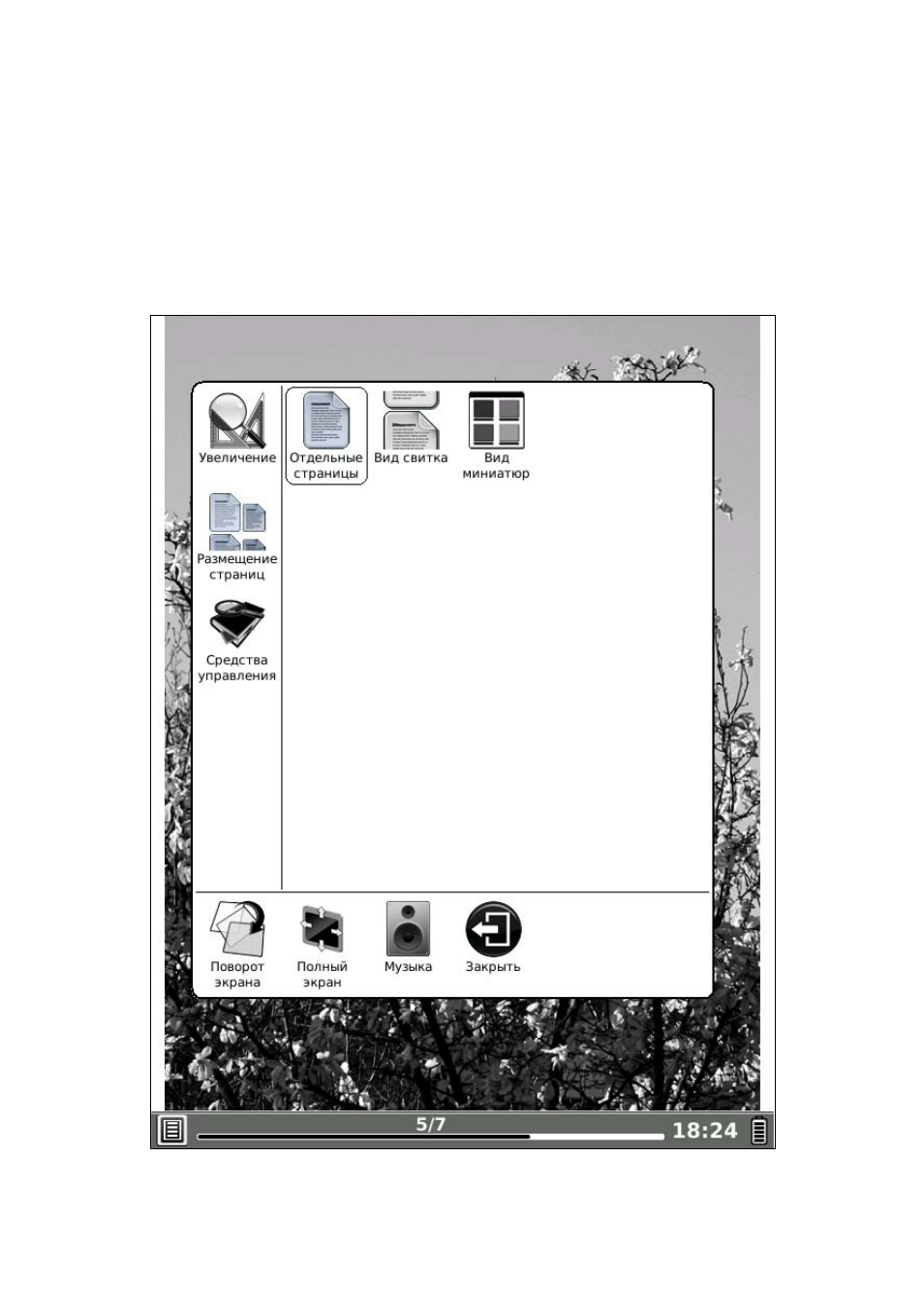 background image