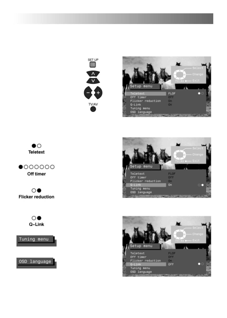 background image