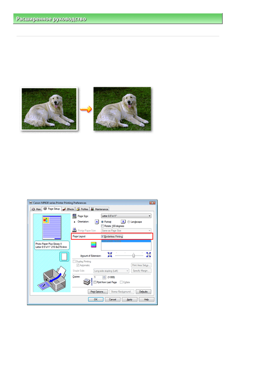 background image