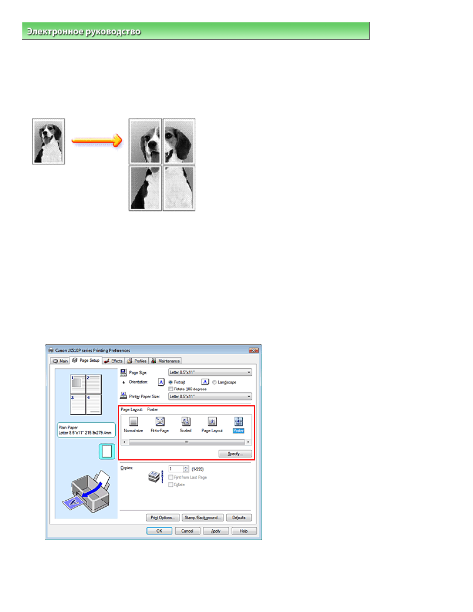 background image