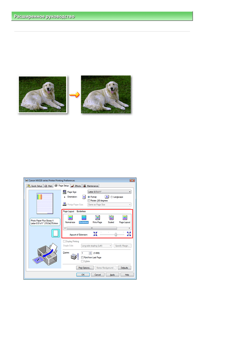 background image