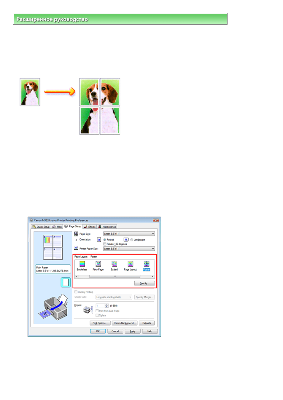 background image