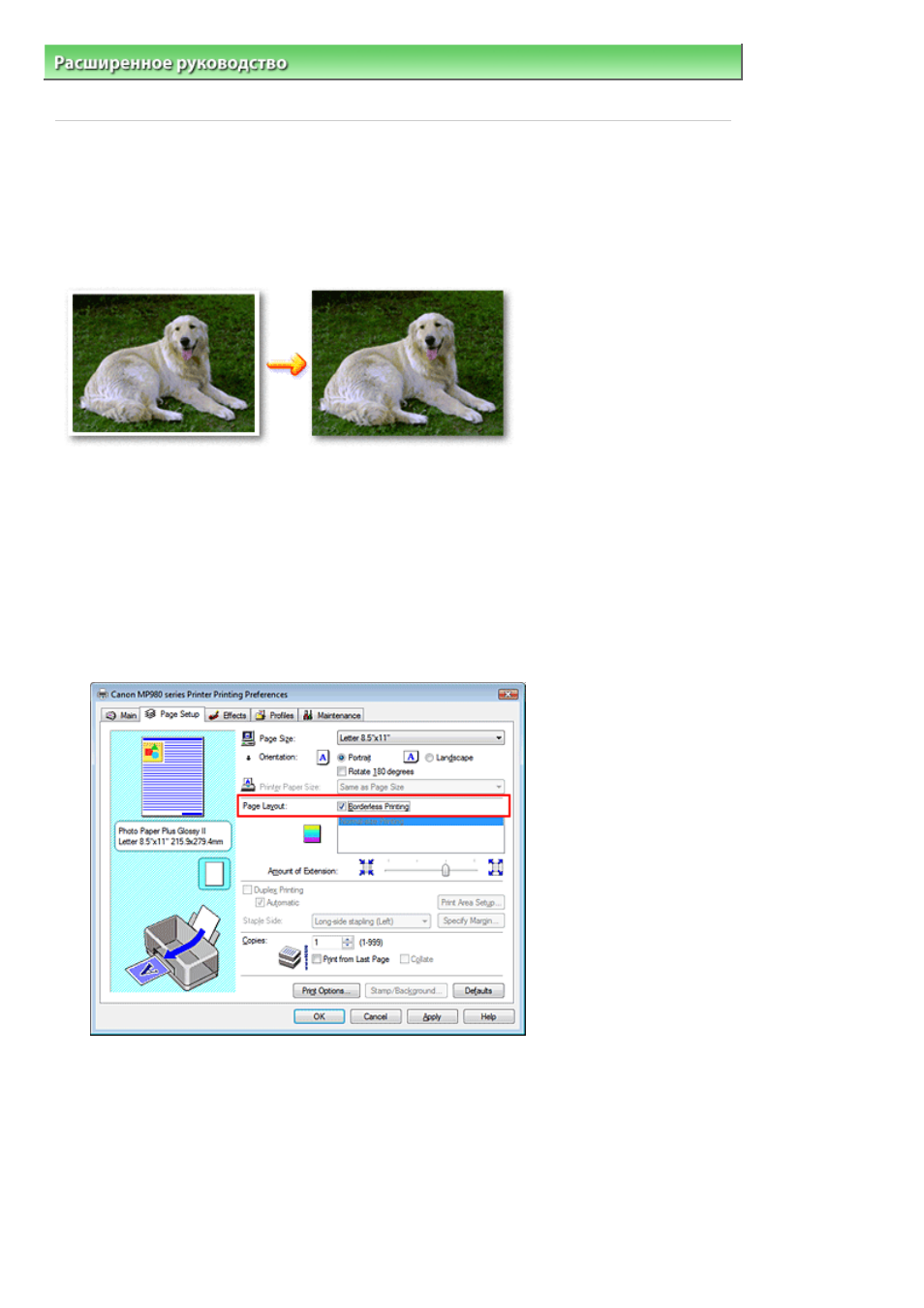 background image