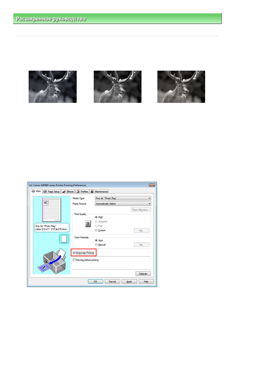 background image