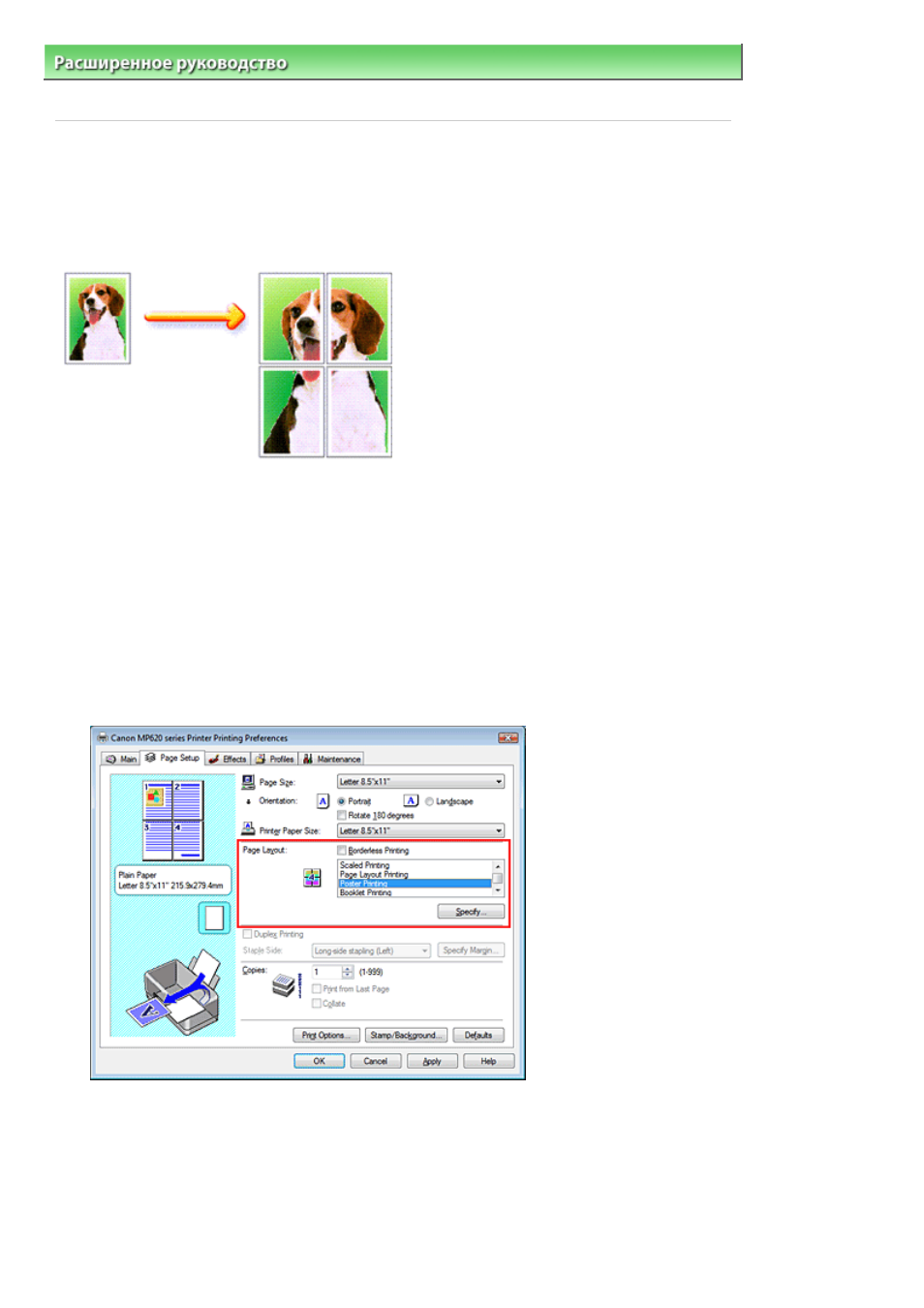 background image