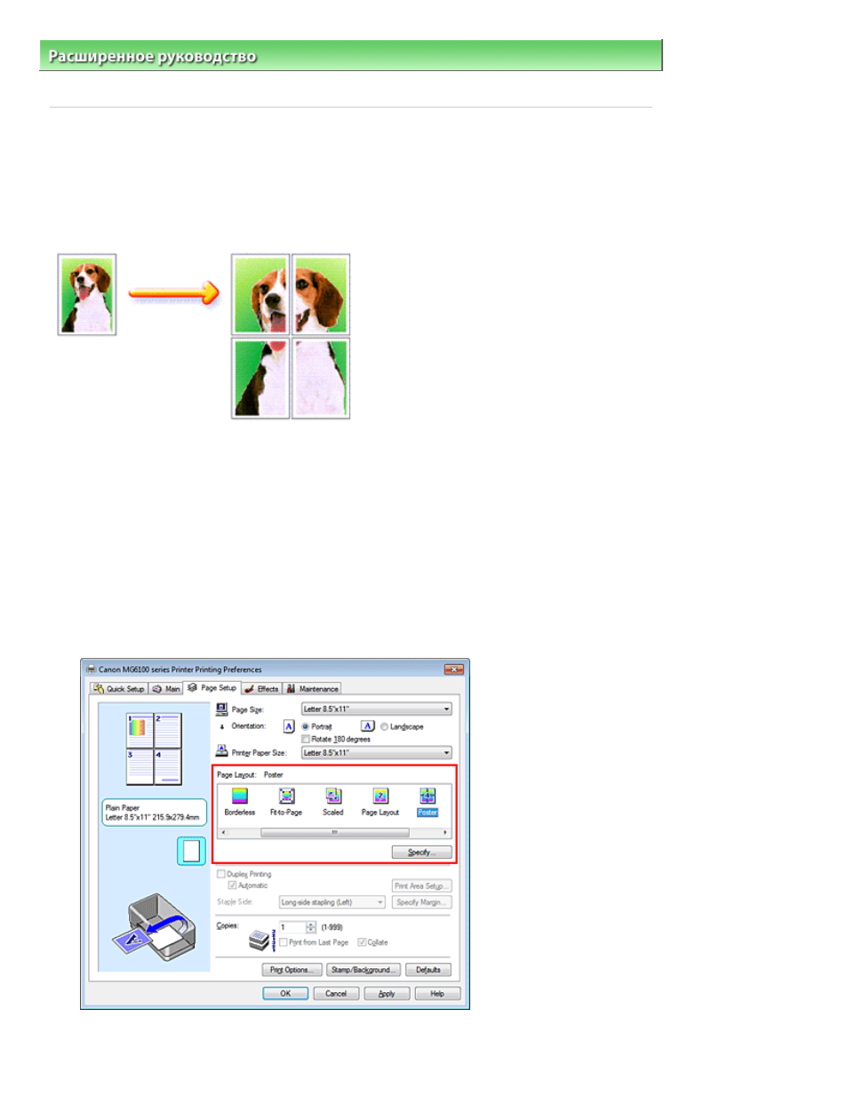 background image