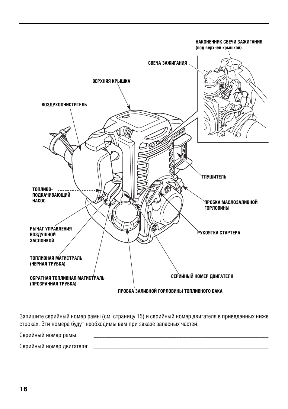 Двигатель бензиновый схема. Устройство двигателя триммера схема. Схема двигателя триммера бензинового. Из чего состоит двигатель бензокосы. Триммер бензиновый устройство схема двигателя.