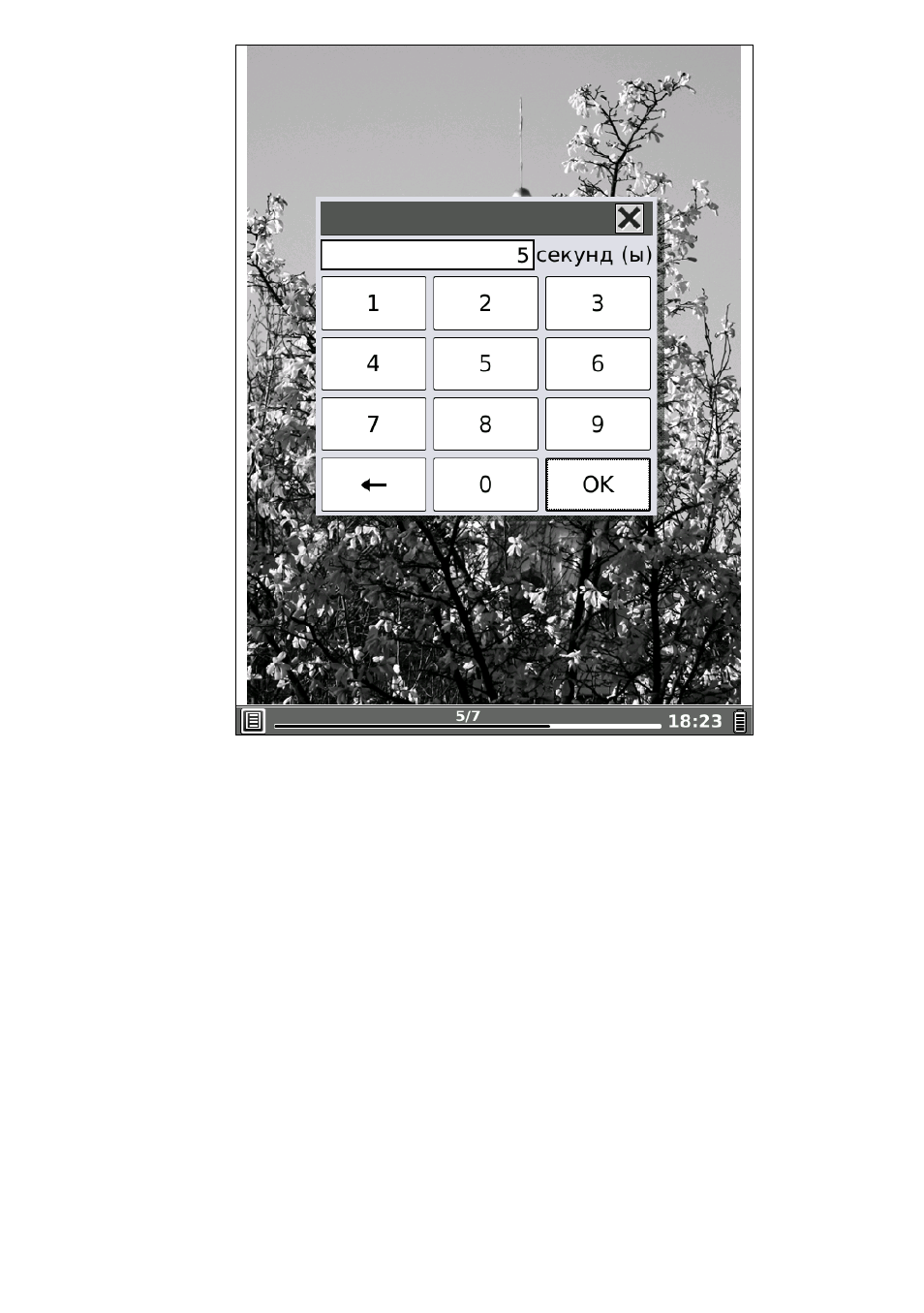 background image
