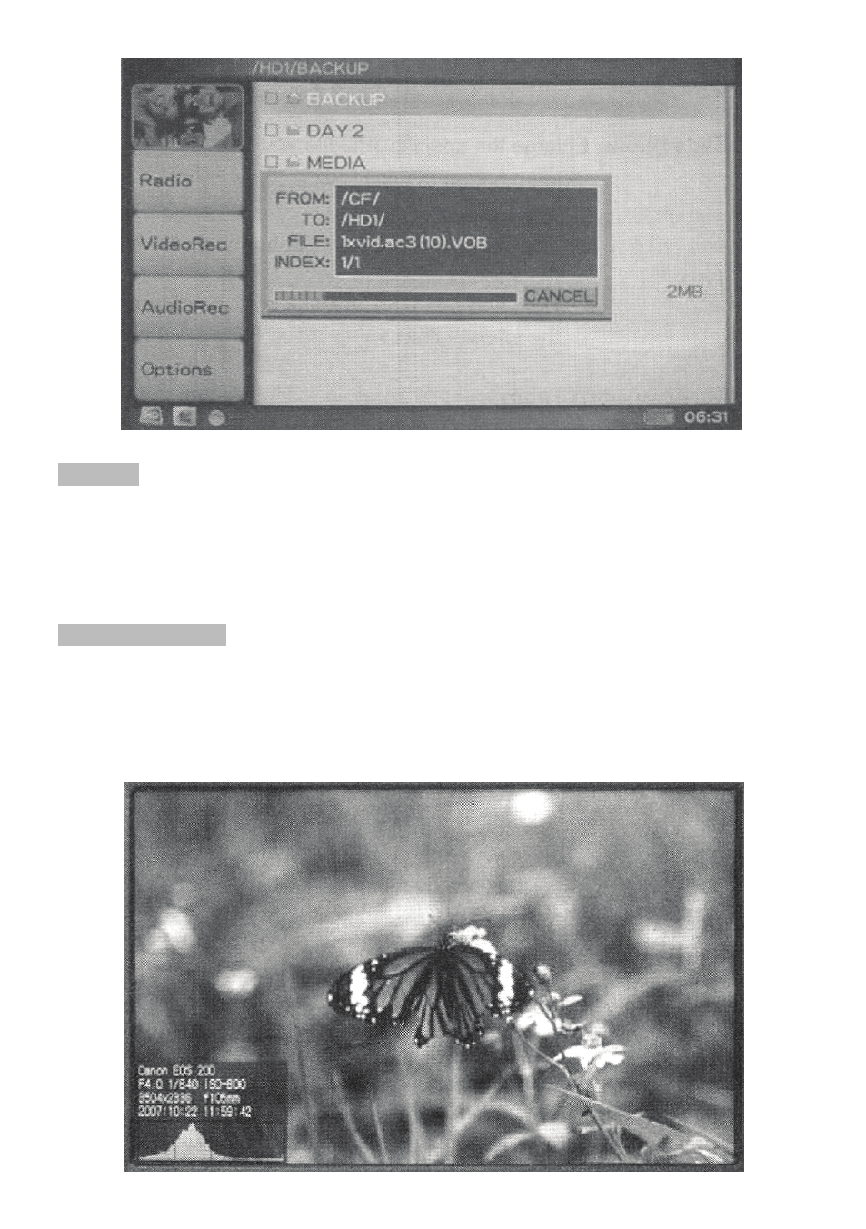 background image