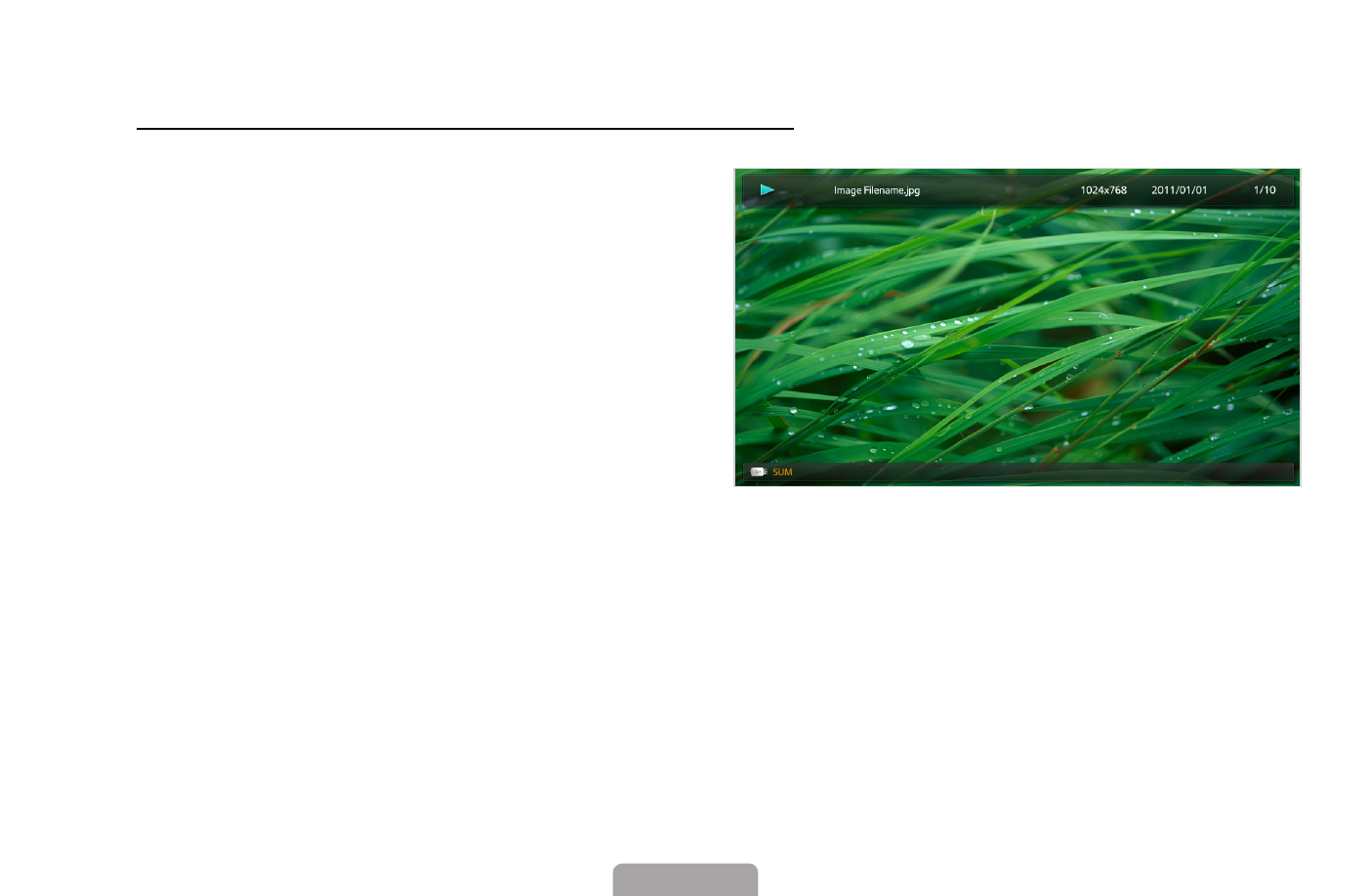 background image