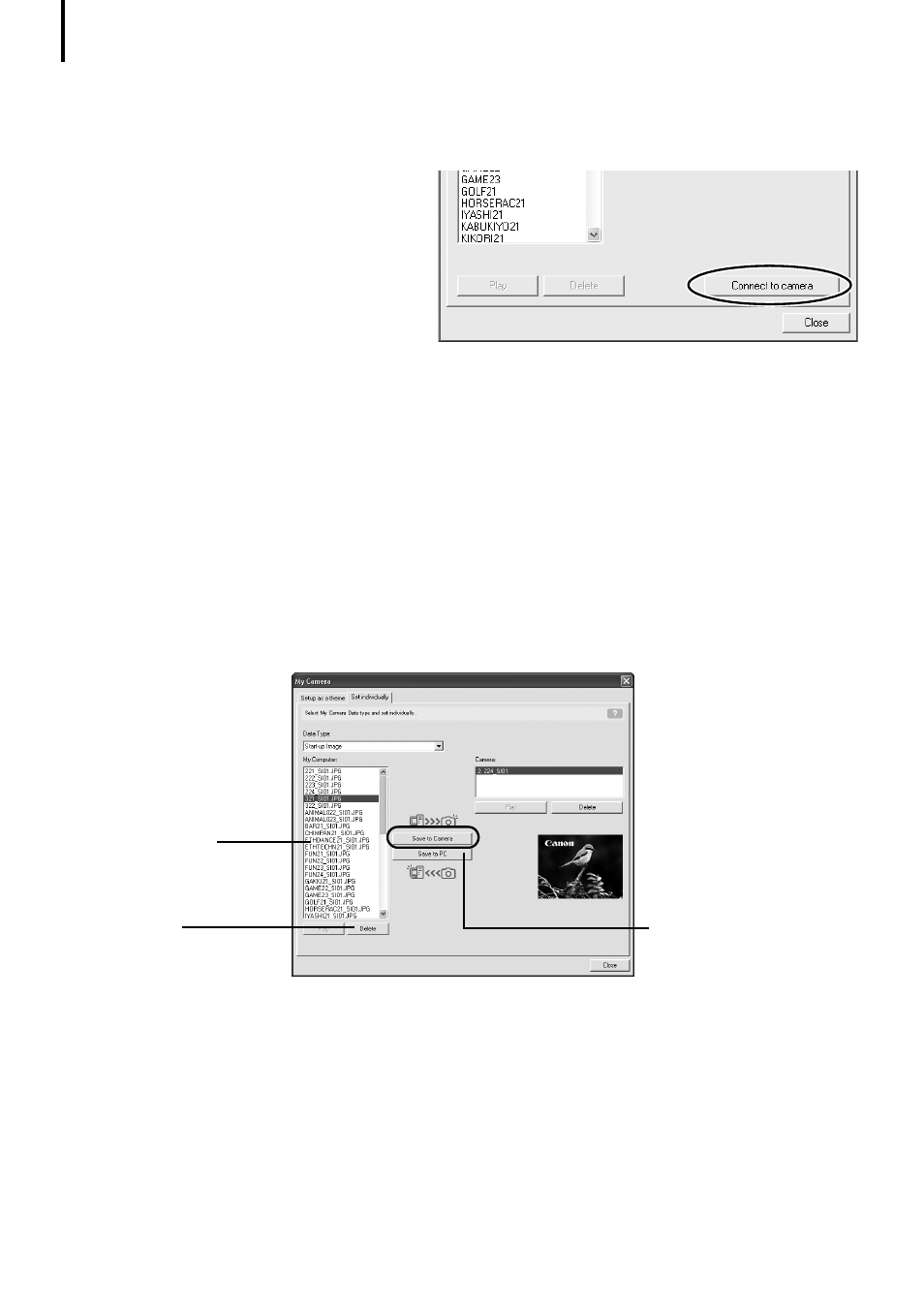 background image