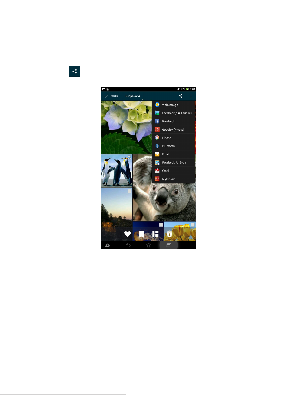 background image