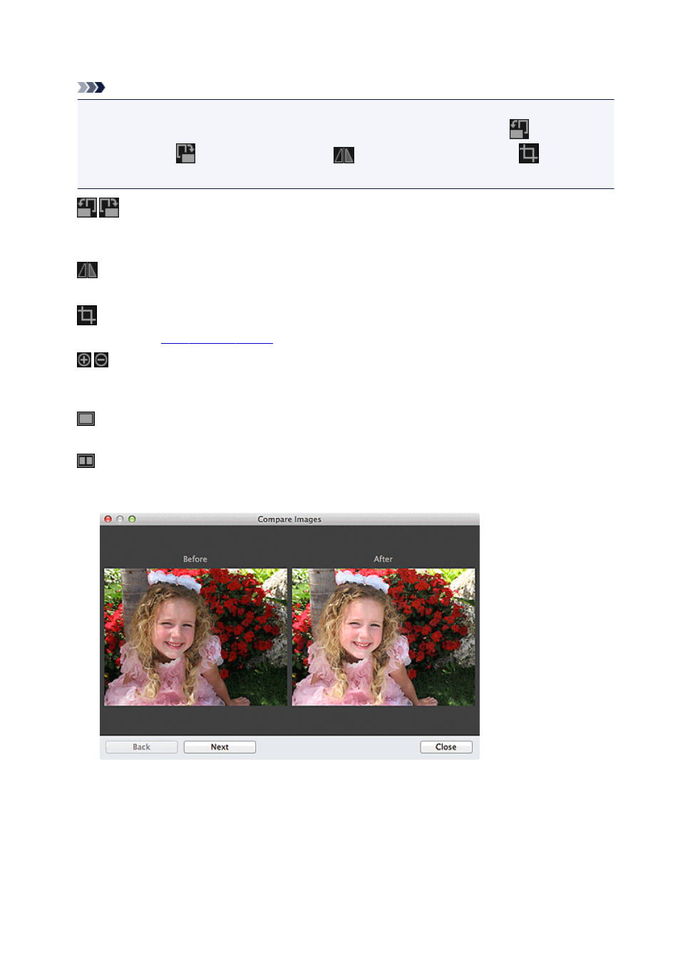 background image