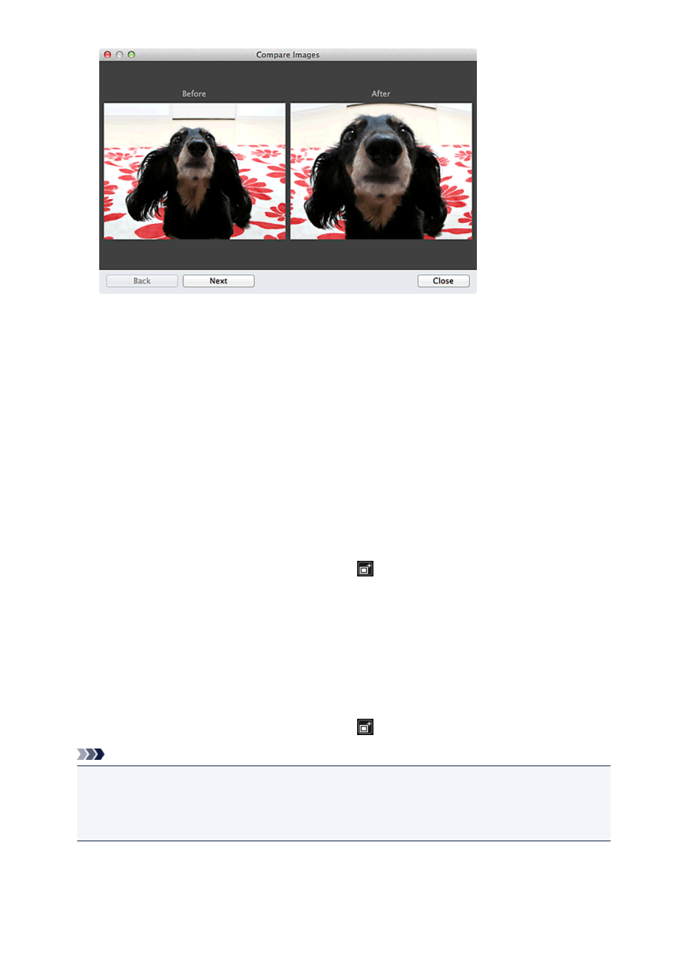 background image