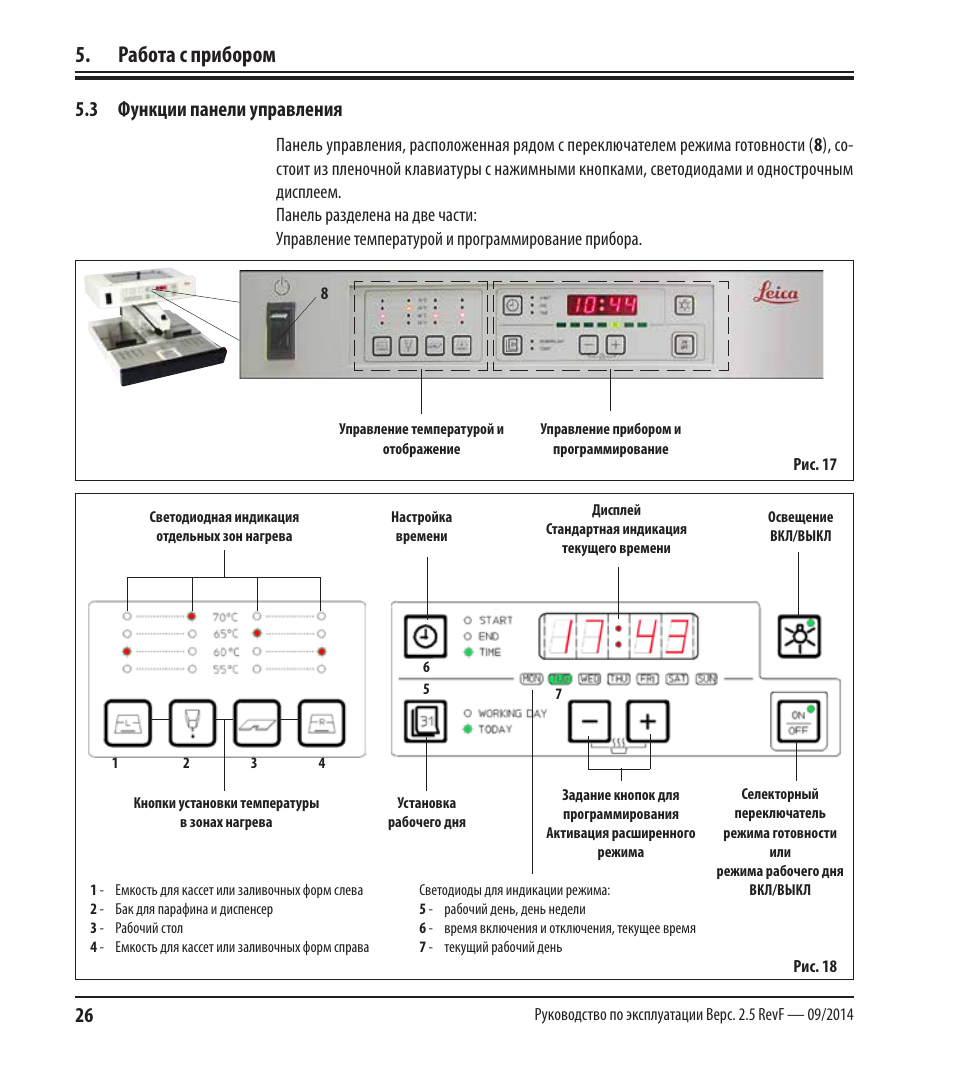 Щиток функции. Щиток биология соцветие. Значок функции. Растения со строением щиток. Соцветия 6 класс биология.