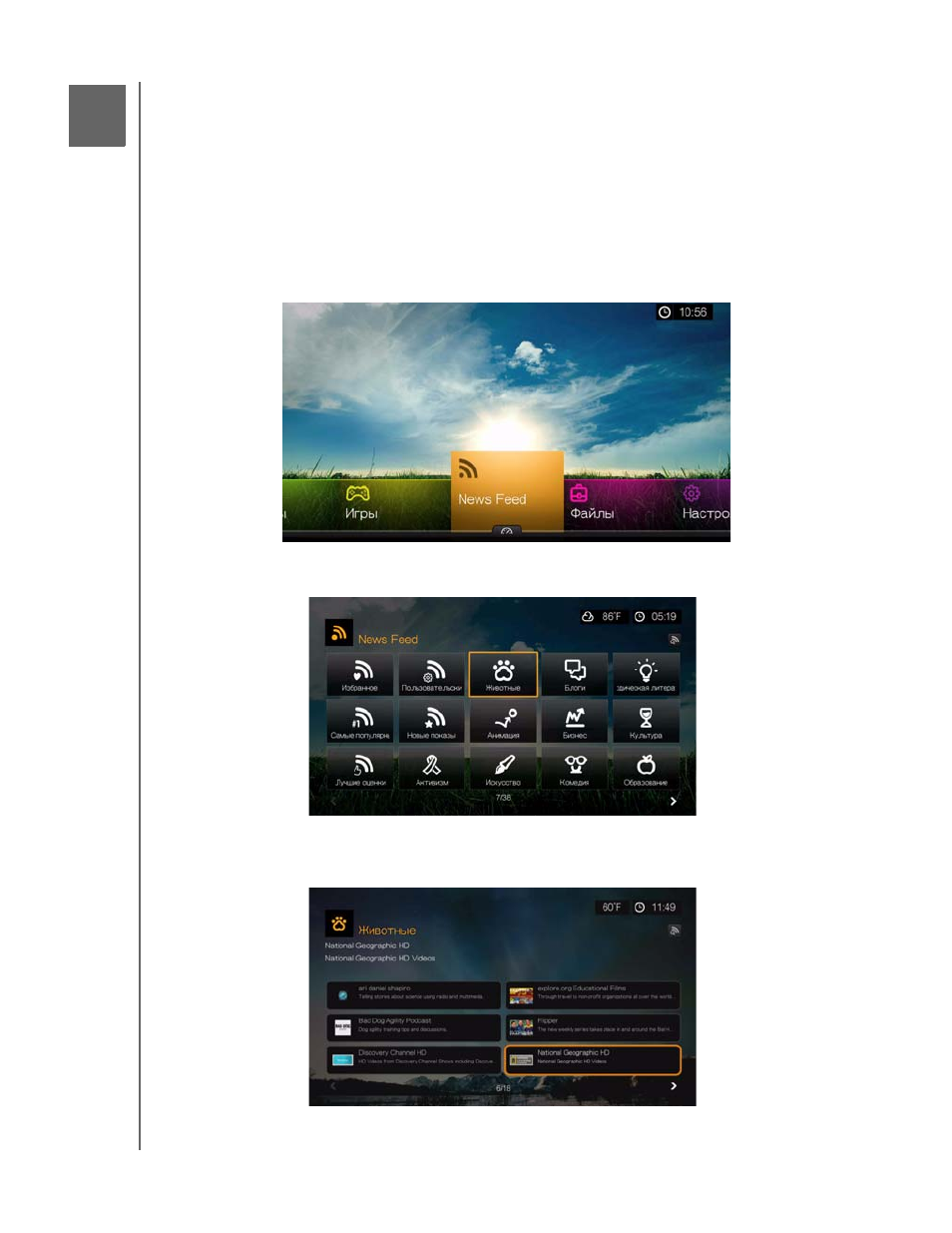 background image